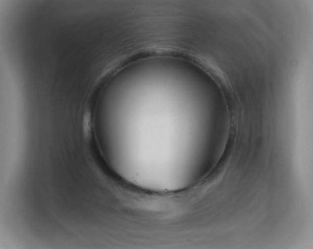 X0000113120024200909041315