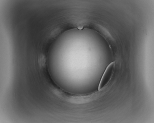 X0000113120025200909041315