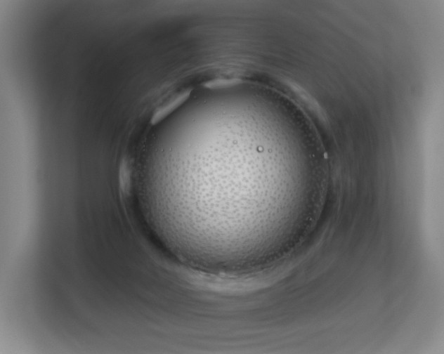 X0000113120026200909041315