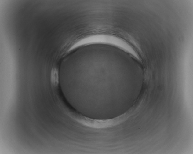 X0000113120027200909041315