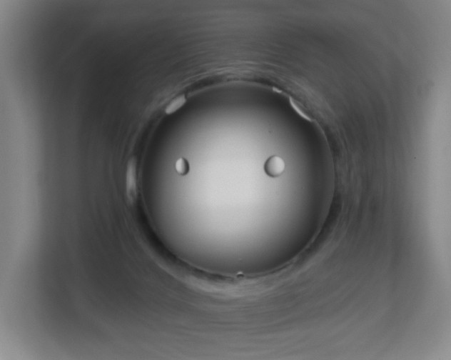 X0000113120028200909041315