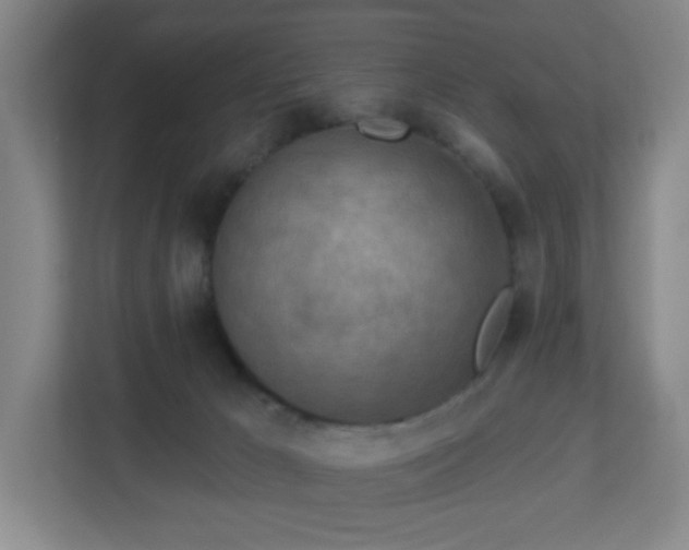 X0000113120029200909041315