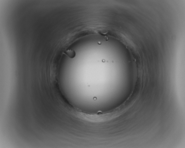 X0000113120030200909041315