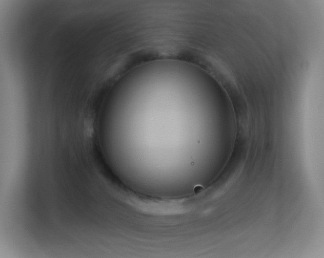 X0000113120032200909041315