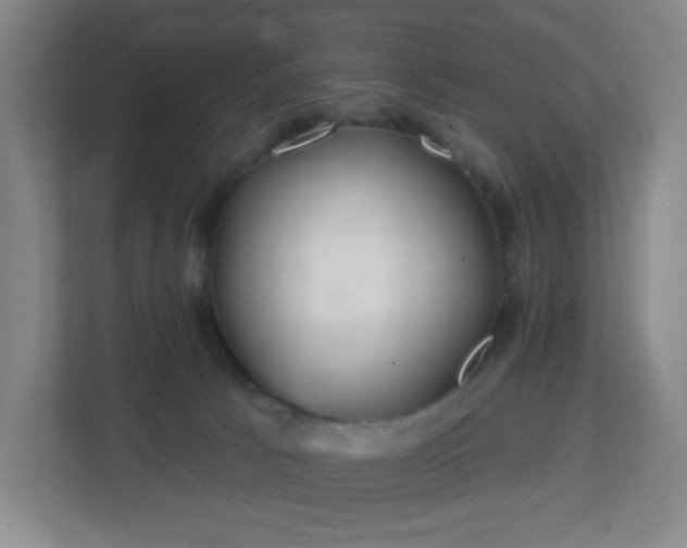 X0000113120033200909041315