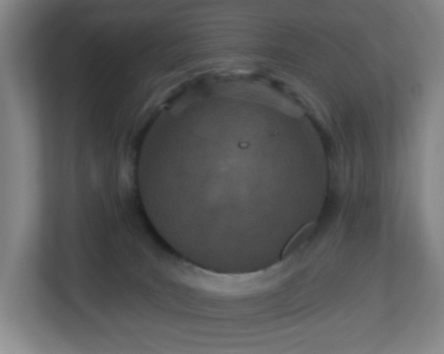 X0000113120035200909041315