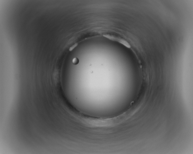 X0000113120036200909041315