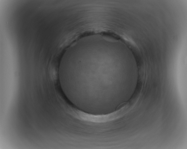 X0000113120039200909041315