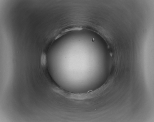 X0000113120041200909041315