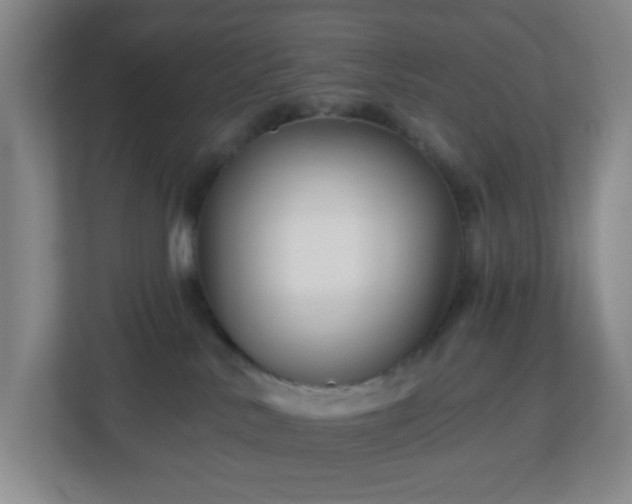 X0000113120042200909041315