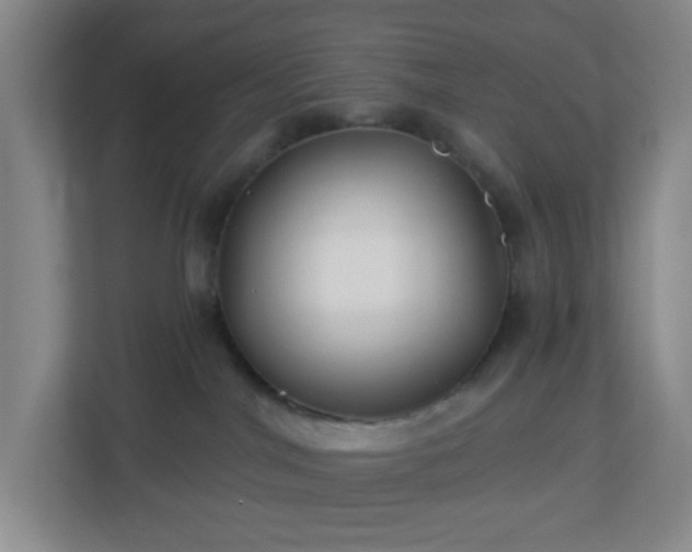 X0000113120044200909041315