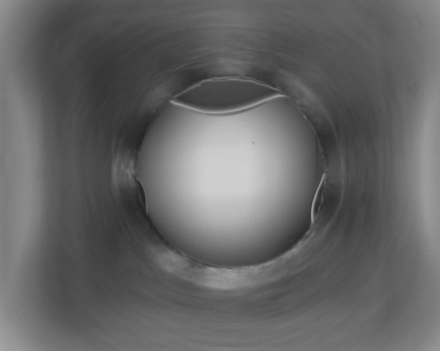 X0000113120045200909041315