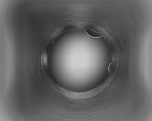 X0000113120046200909041315