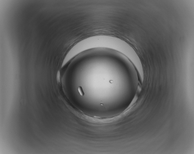 X0000113120047200909041315