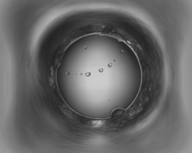 X0000113120050200909041314