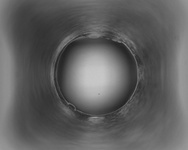 X0000113120051200909041314