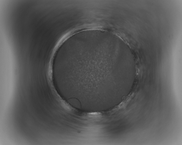 X0000113120053200909041314