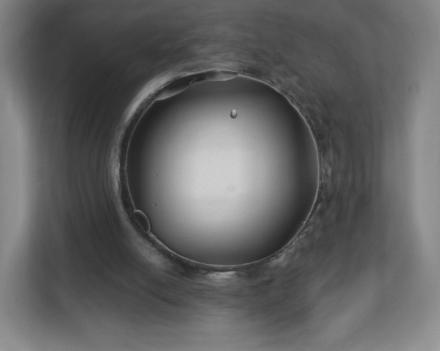 X0000113120054200909041314