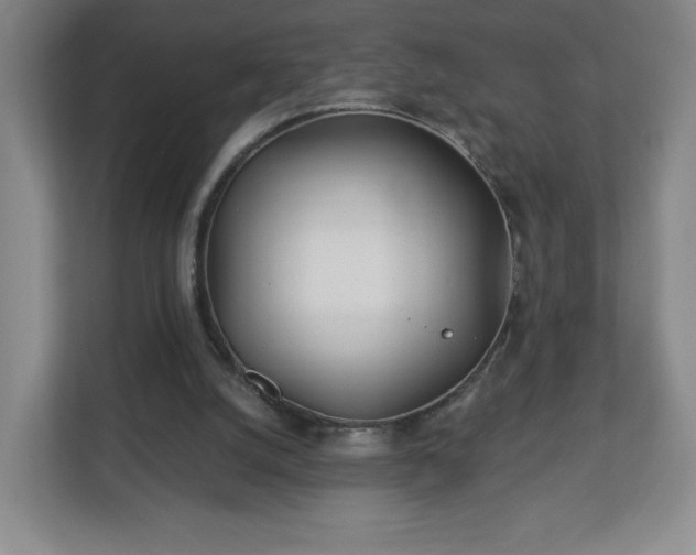 X0000113120056200909041314