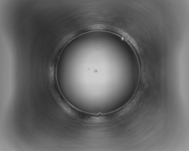 X0000113120057200909041314