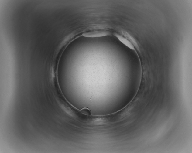 X0000113120059200909041314