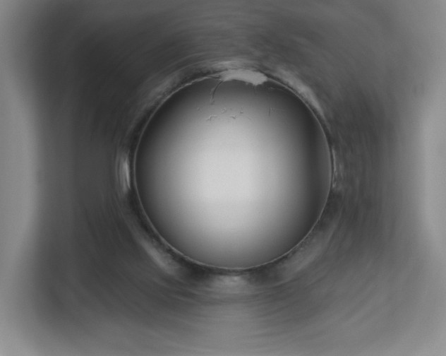 X0000113120061200909041314