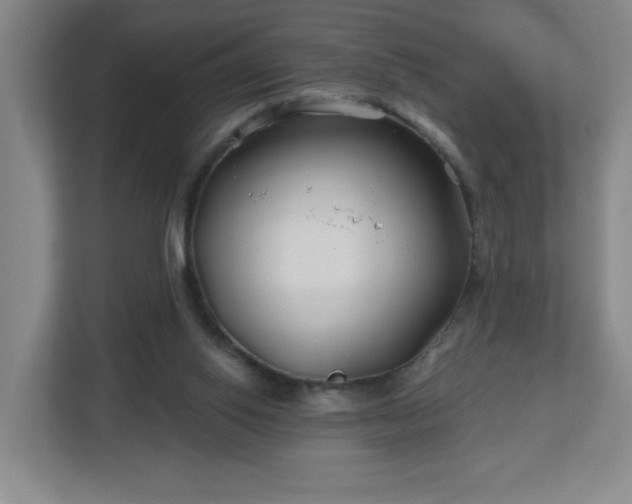 X0000113120062200909041314