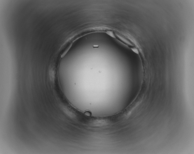 X0000113120063200909041314