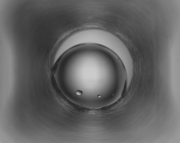 X0000113120064200909041314