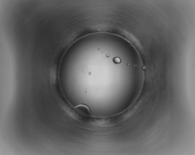 X0000113120065200909041314