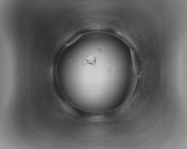 X0000113120066200909041314