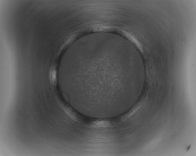 X0000113120067200909041314