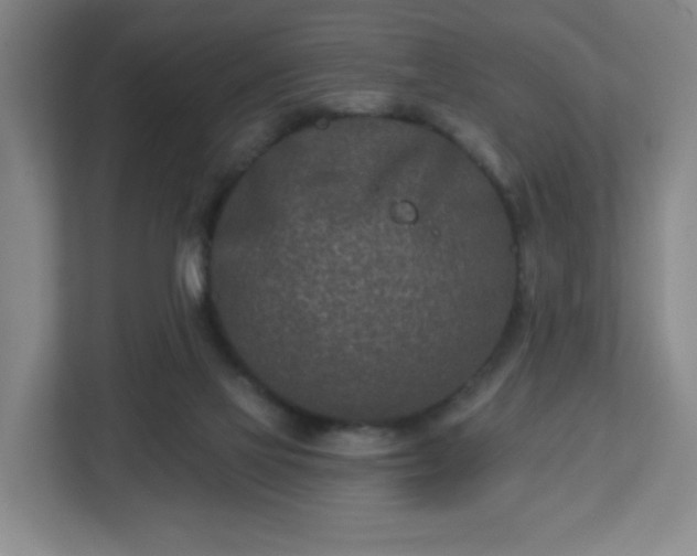 X0000113120069200909041314