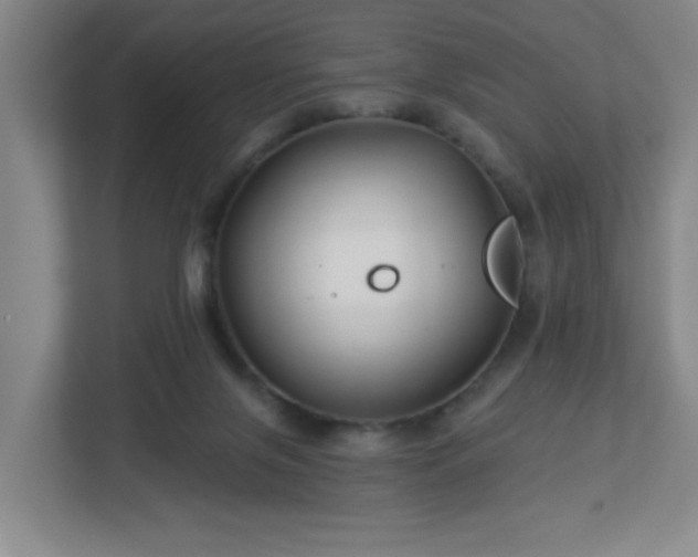 X0000113120071200909041314