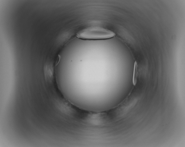 X0000113120072200909041314