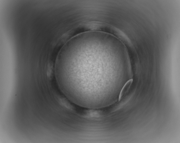 X0000113120073200909041314