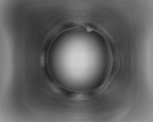 X0000113120074200909041314