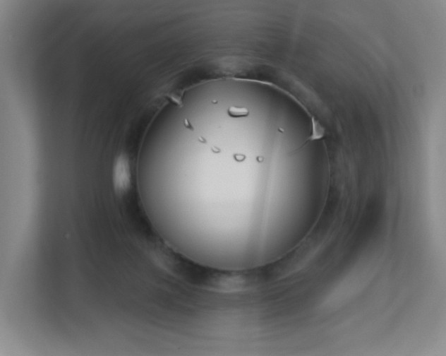 X0000113120075200909041314