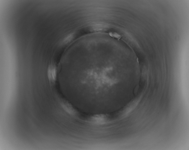 X0000113120076200909041314