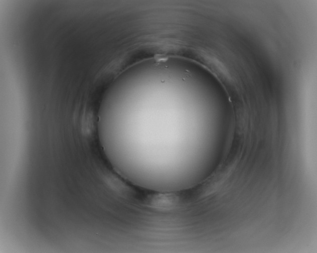 X0000113120077200909041314