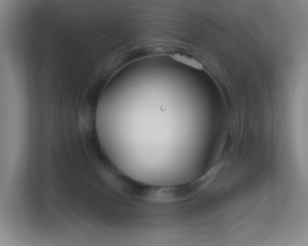 X0000113120078200909041314