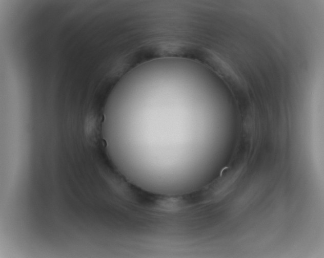 X0000113120079200909041314