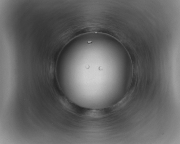 X0000113120082200909041314