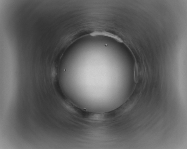 X0000113120084200909041314