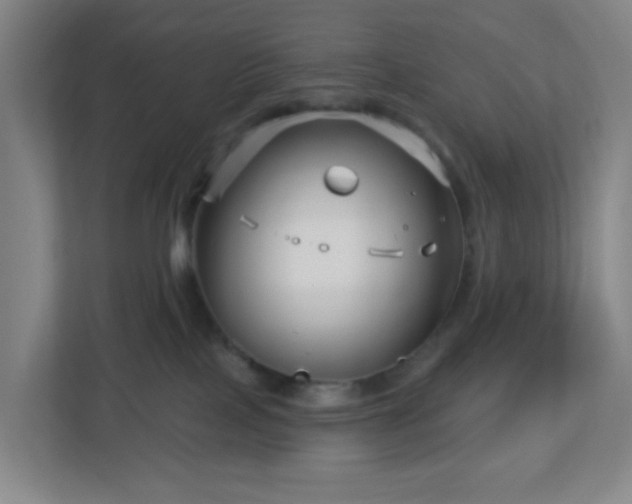 X0000113120089200909041314