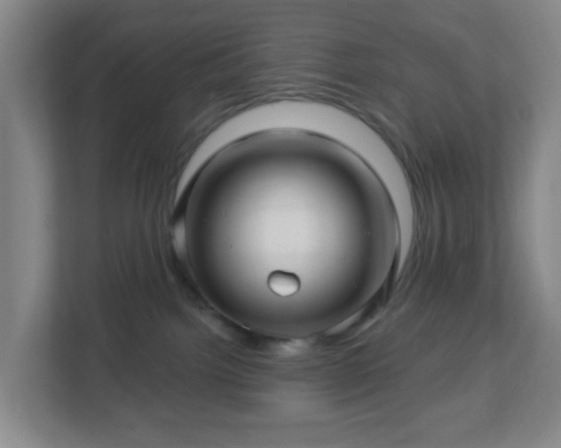 X0000113120092200909041314