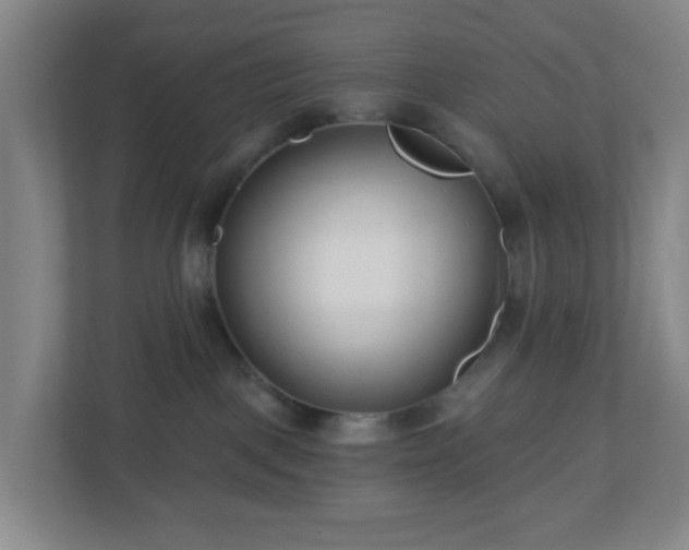 X0000113120093200909041314