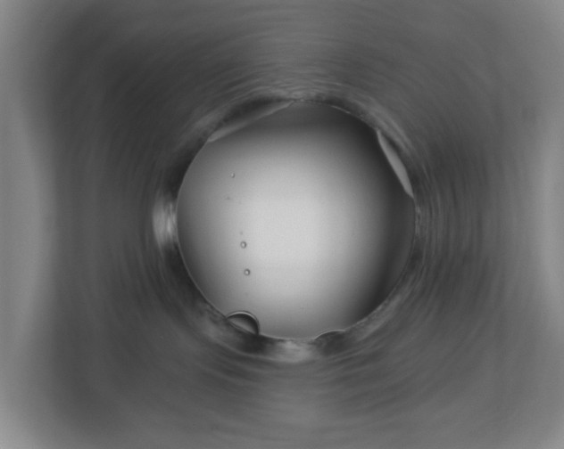 X0000113120095200909041314