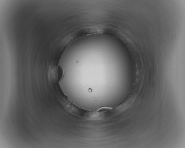 X0000113120096200909041314