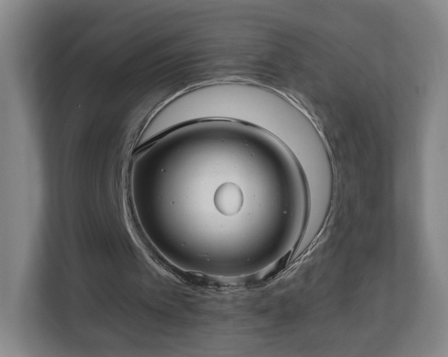 X0000113120097200909041314